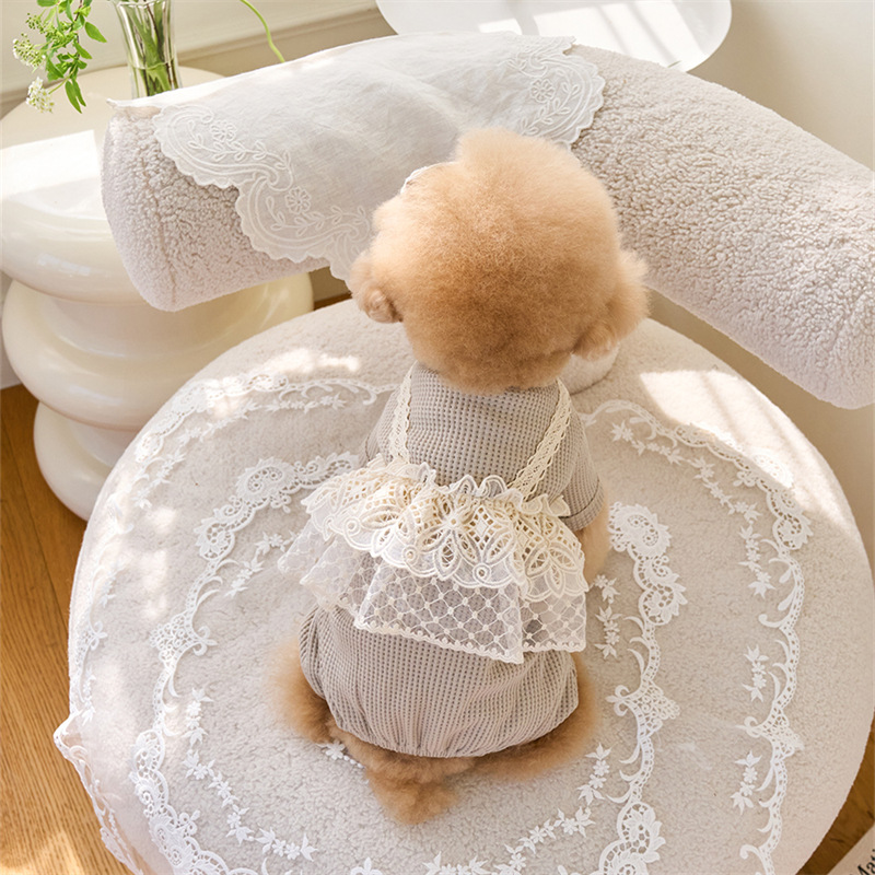 Pet Spring Jumpsuit Cute Lace  - Lace Teddy Lingerie recensione e prezzo