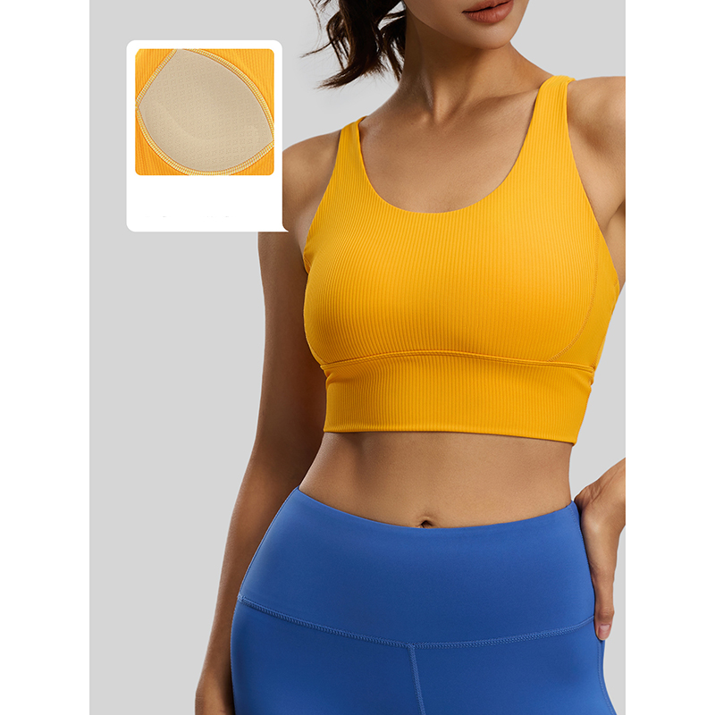 2026 New Women Ribbed High Imp - Sports Bra High Impact recensione e prezzo