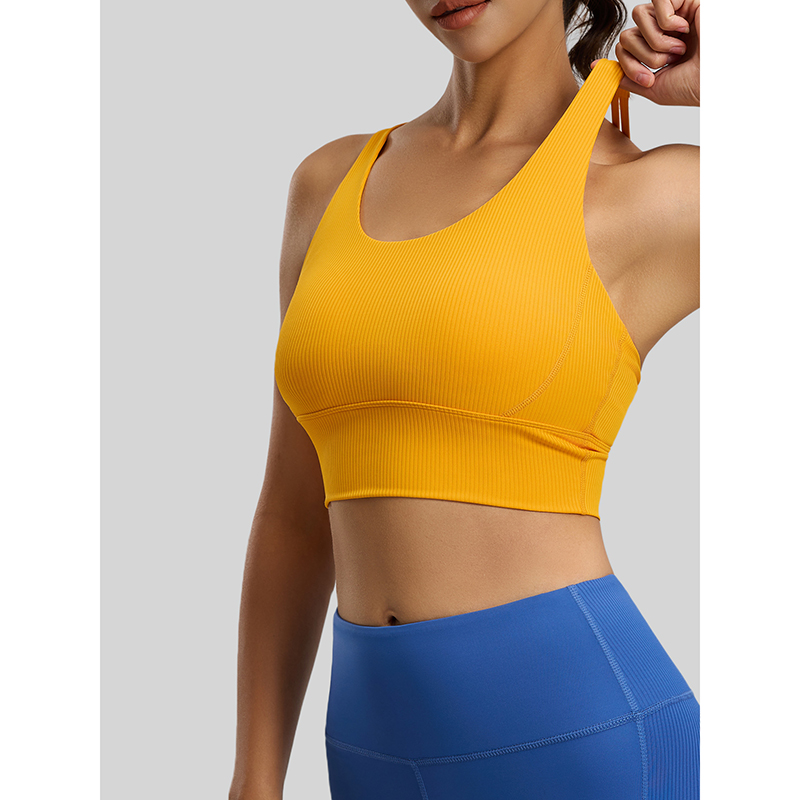 2026 New Women Ribbed High Imp - Sports Bra High Impact recensione e prezzo